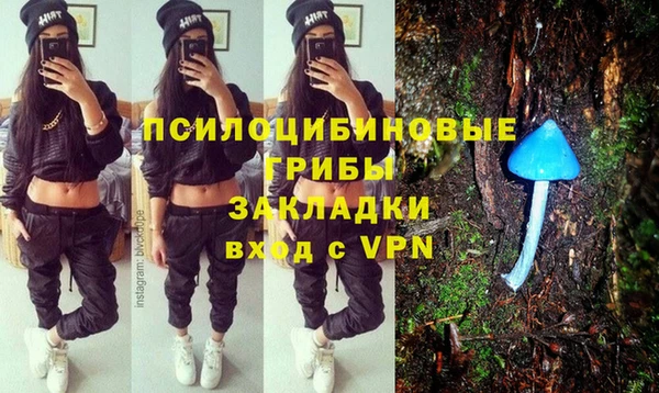 бошки Армянск