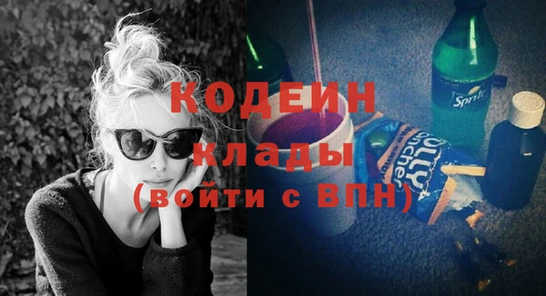 ГАЛЛЮЦИНОГЕННЫЕ ГРИБЫ Арсеньев