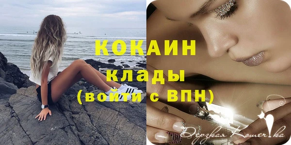 ГАЛЛЮЦИНОГЕННЫЕ ГРИБЫ Арсеньев