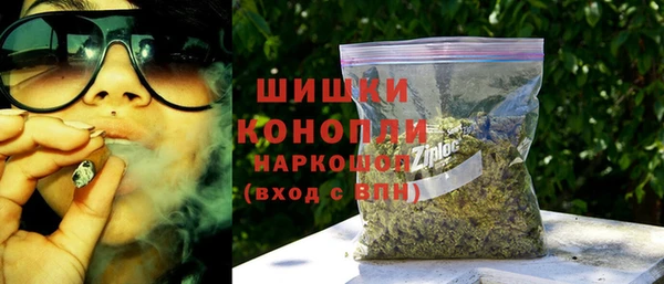 ГАЛЛЮЦИНОГЕННЫЕ ГРИБЫ Арсеньев